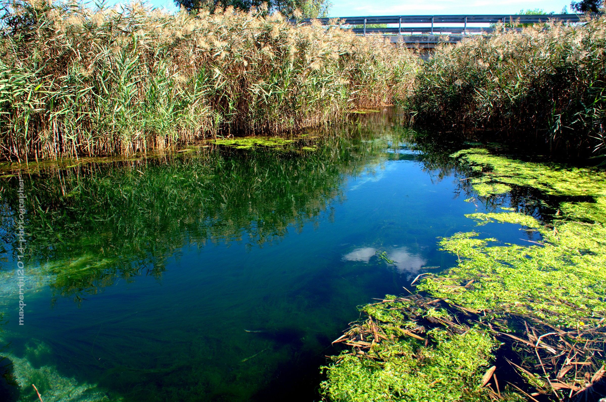 Cervaro mouth of the river which flows into the Marpiccolo