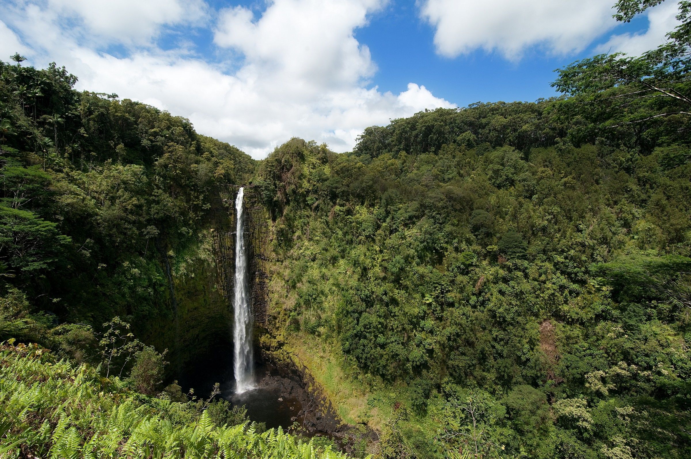 Akaka fall
