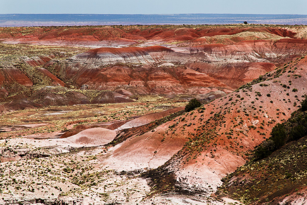 painted desert