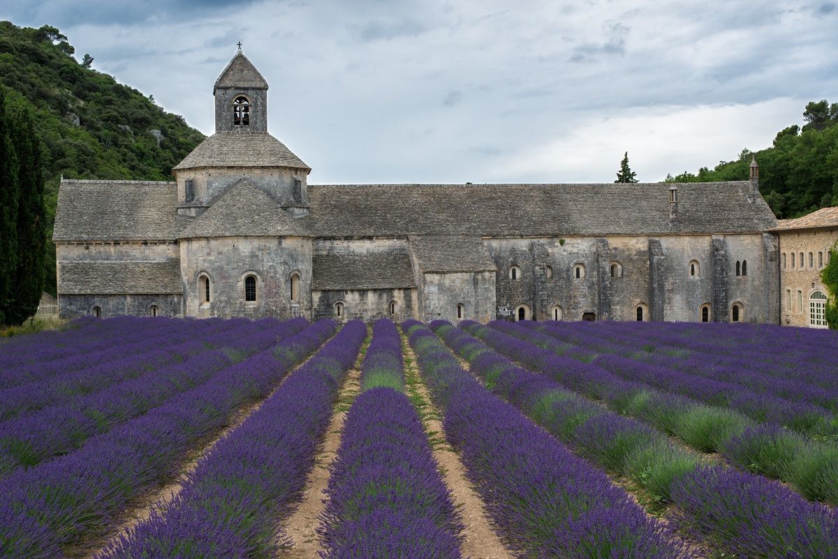 Abbaye Notre-Dame de Sénanque #1