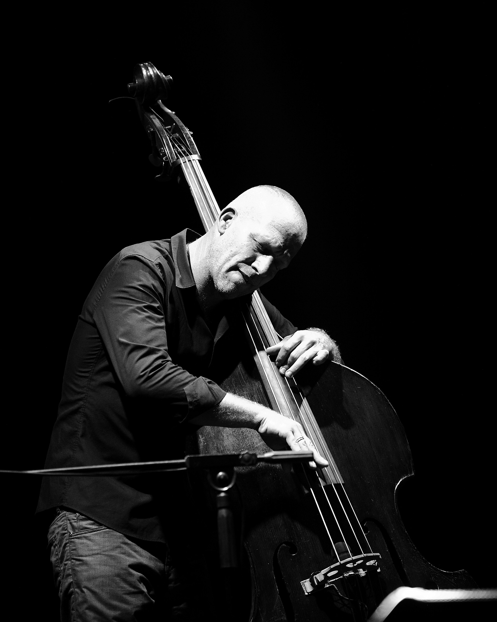 Avishai Cohen