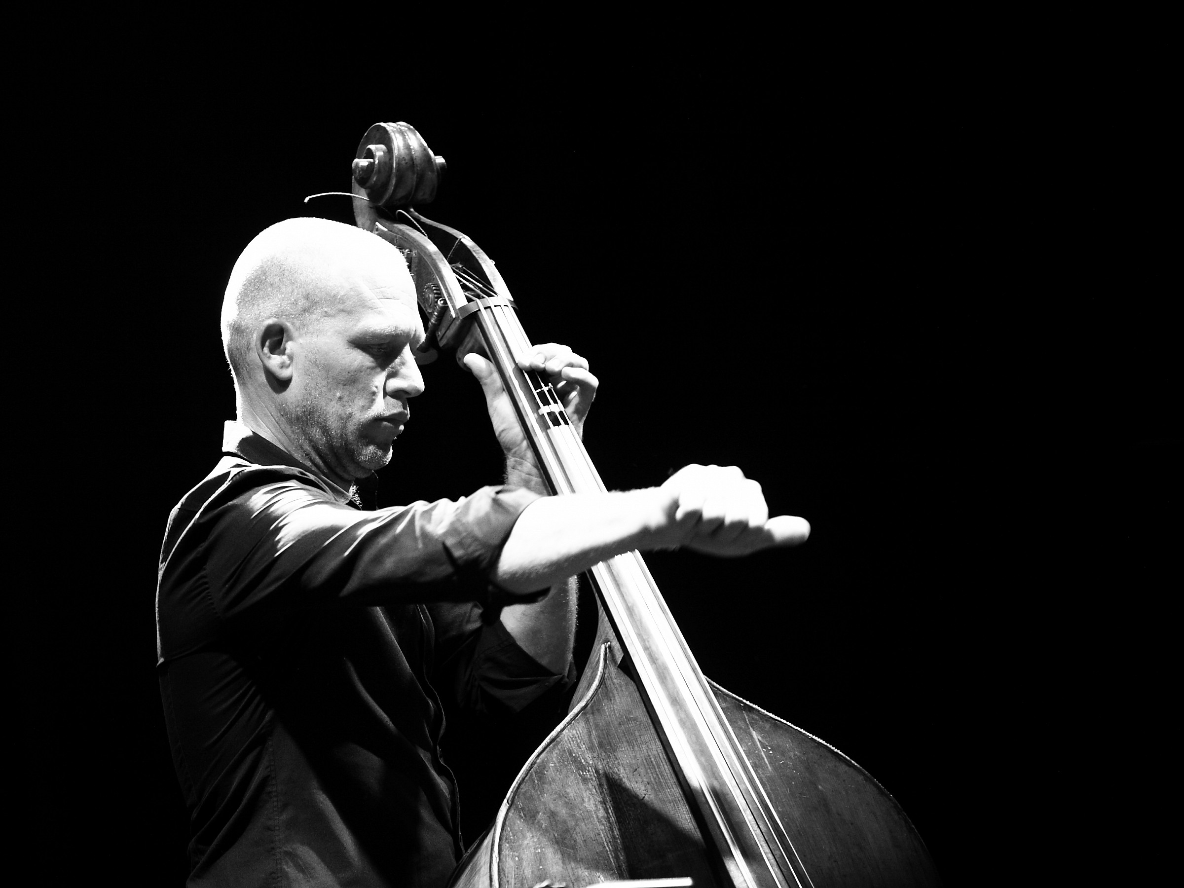 Avishai Cohen