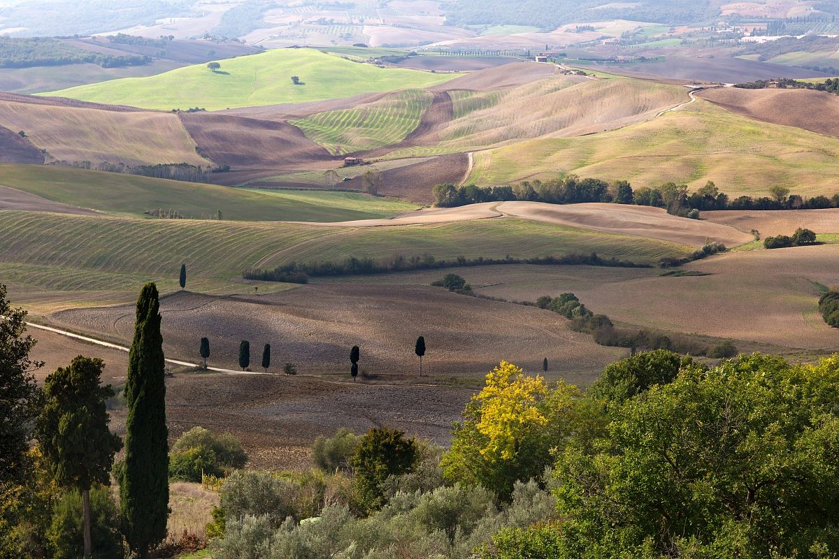 Val d'Orcia da Pienza