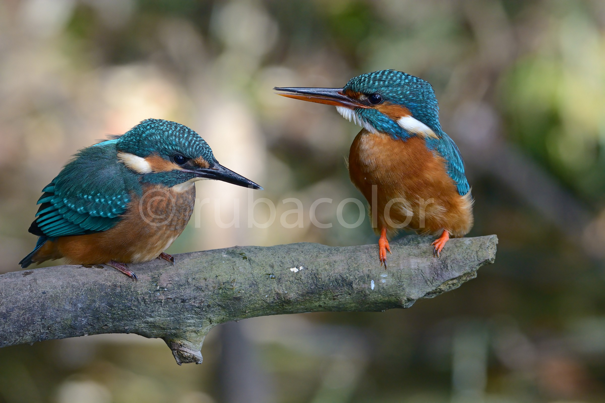 The first lesson of Martina Mom: be careful!