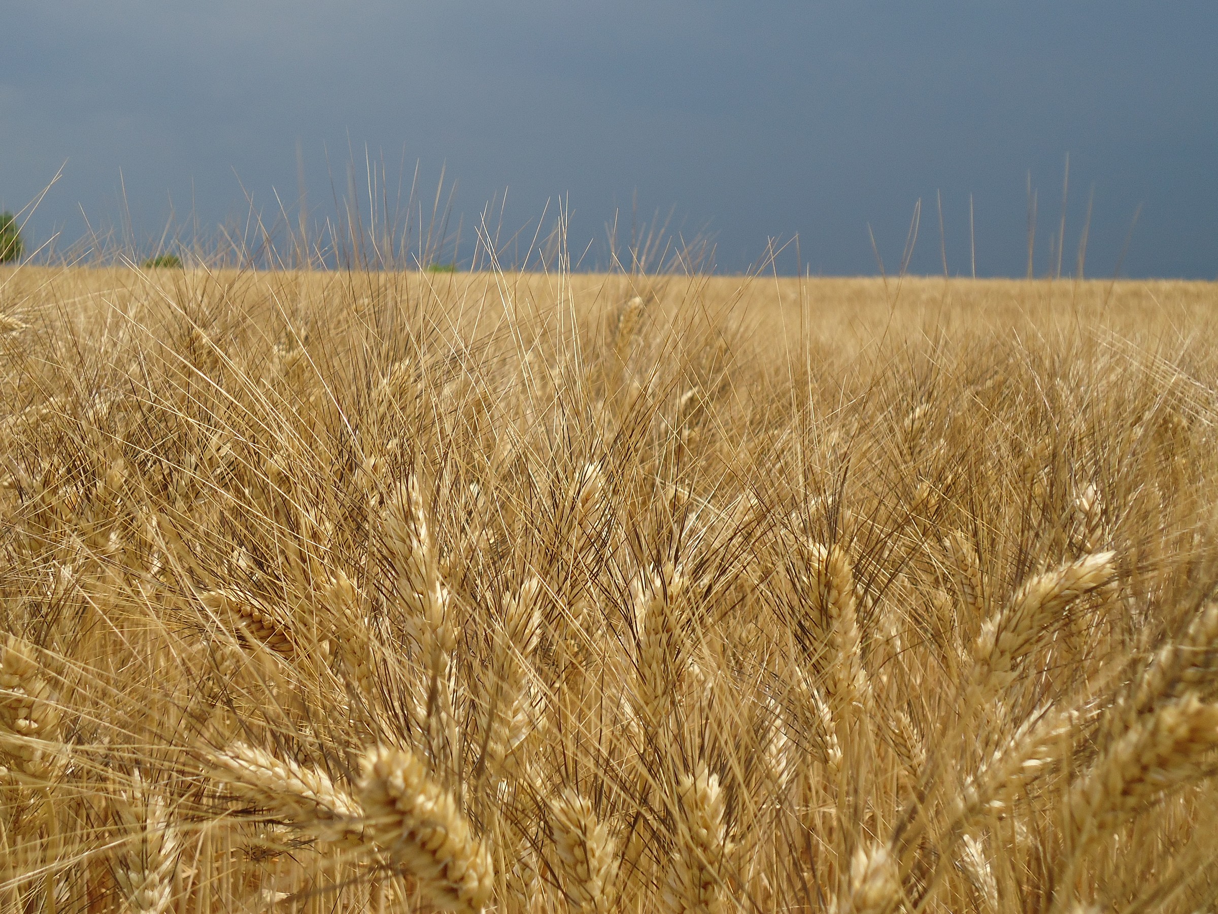 Waiting for the storm ..