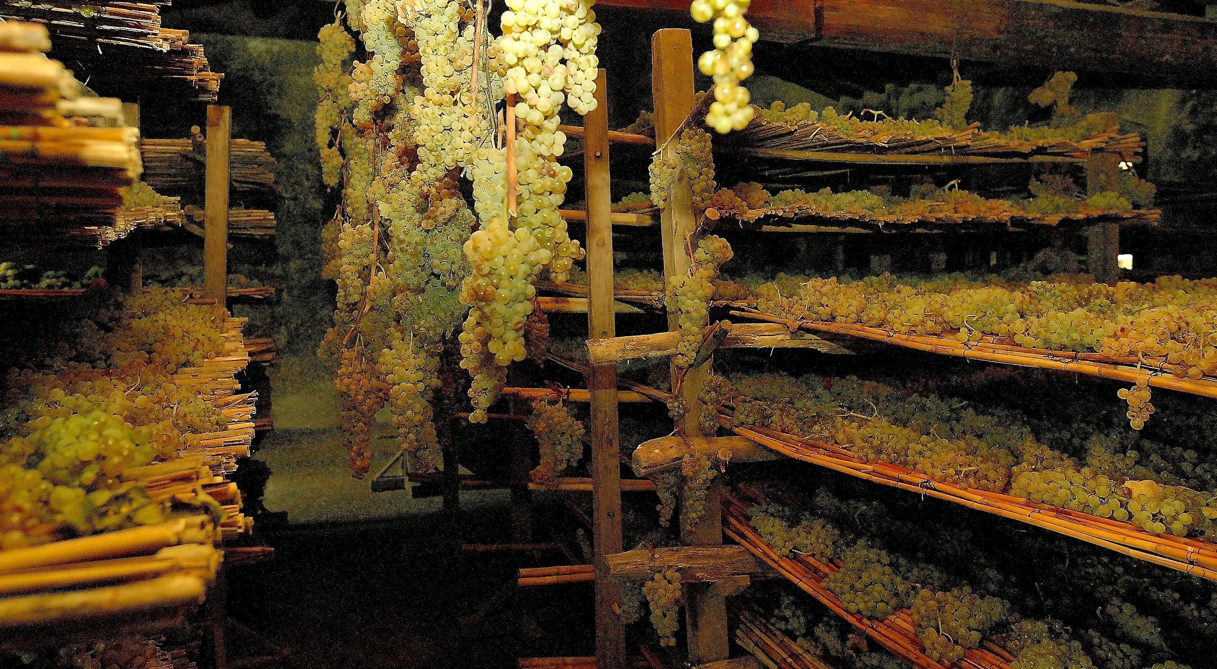 Chianti fiorentino: Vin Santo