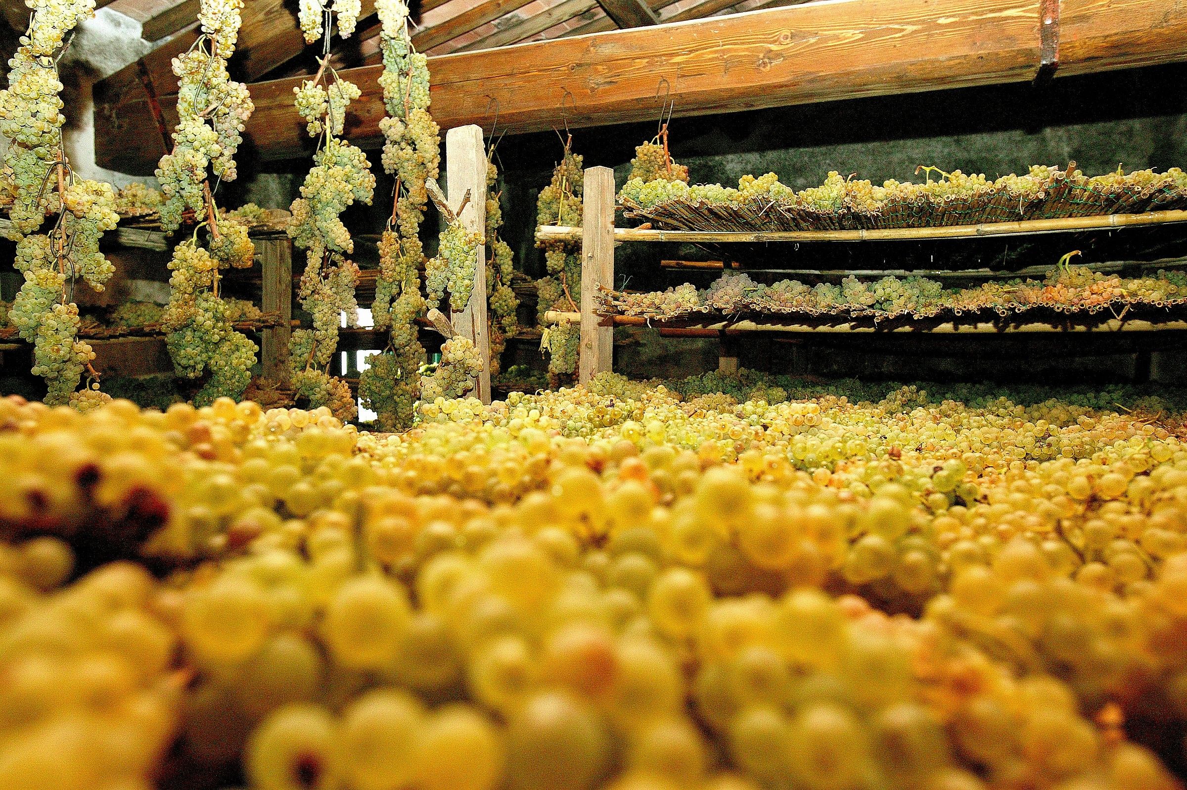 Chianti fiorentino: Vin Santo
