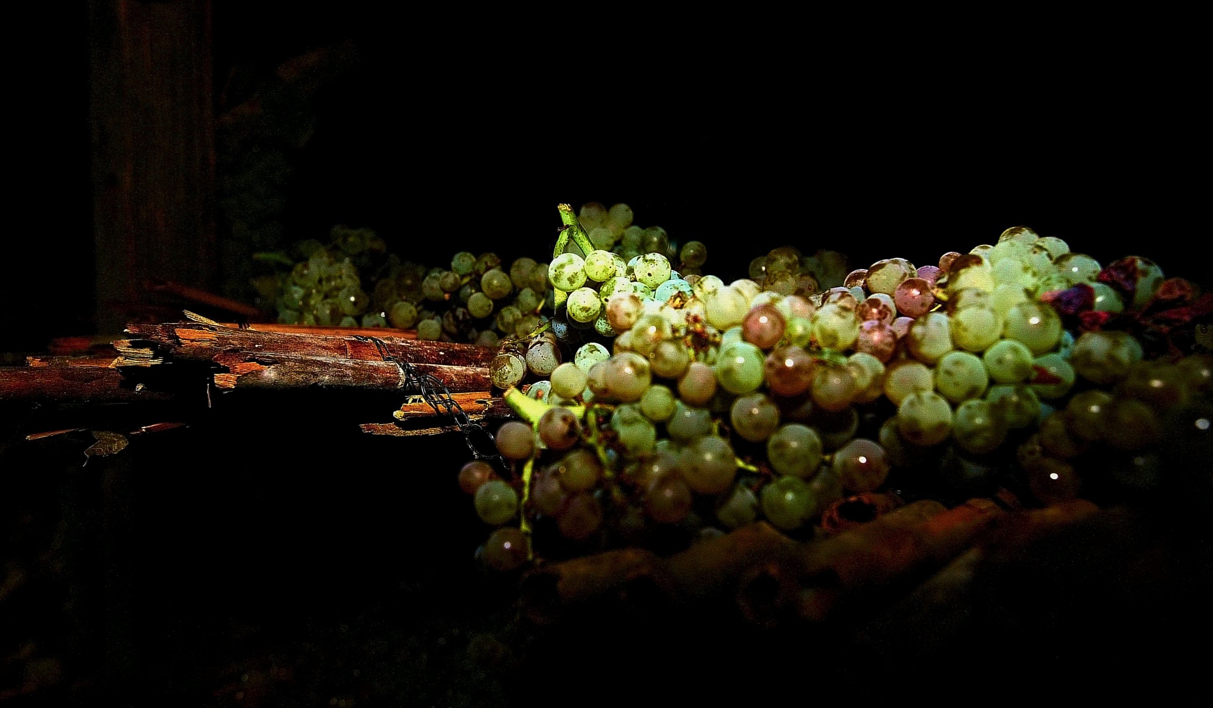 Chianti fiorentino:Vin Santo