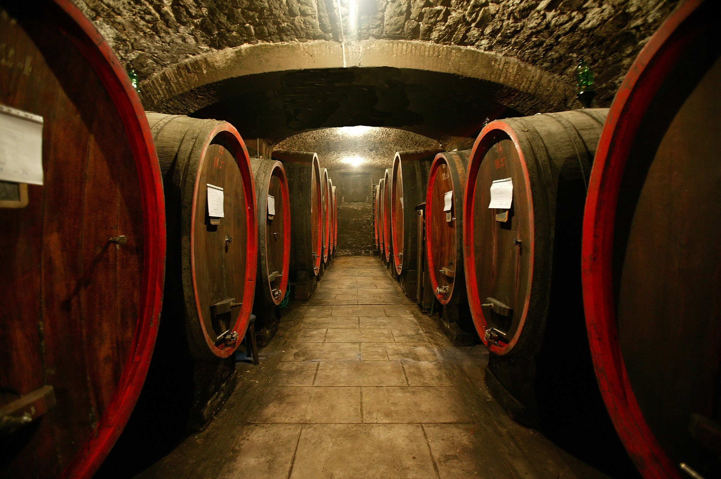 Chianti Fiorentino: Cantine