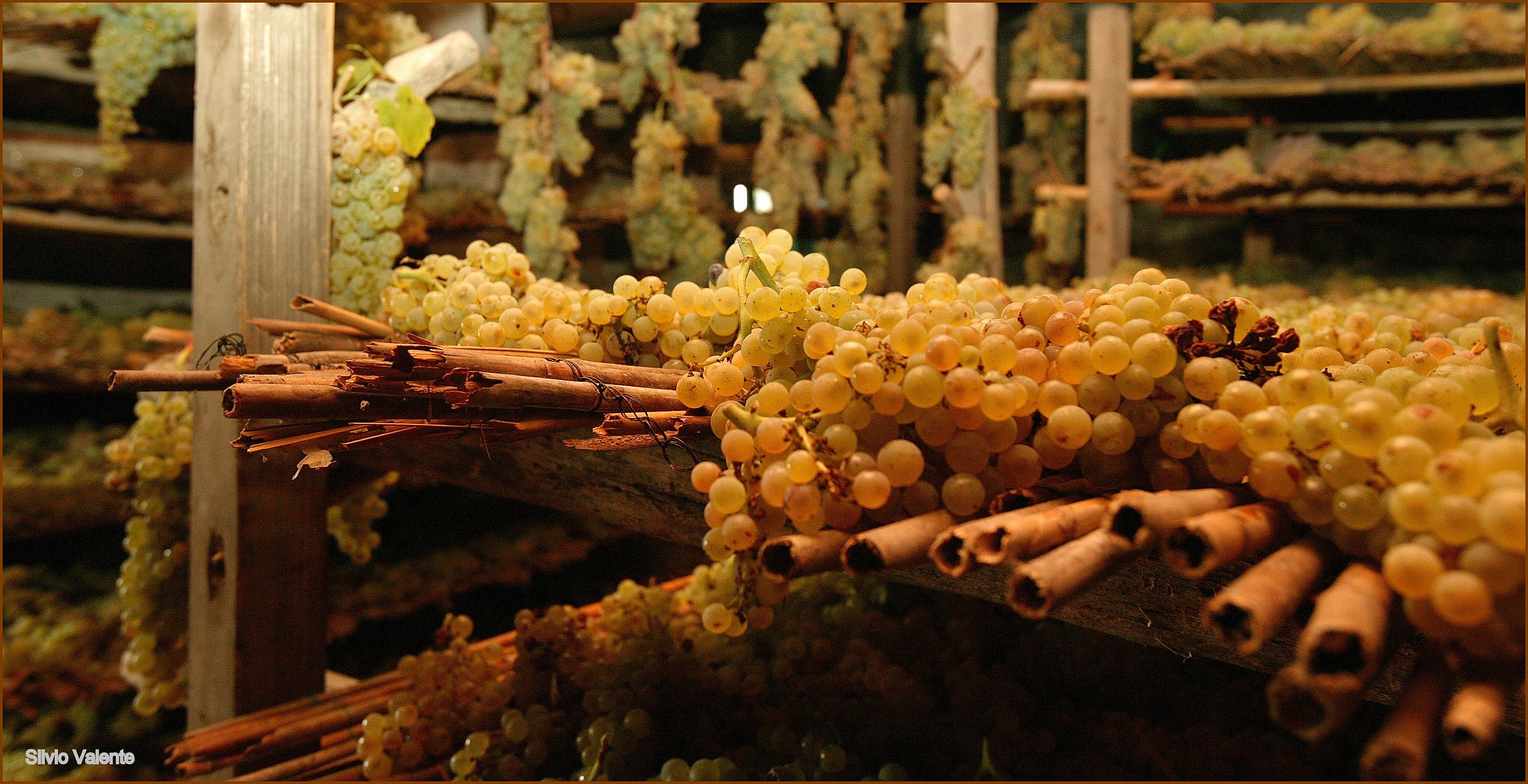 Chianti fiorentino: Vin Santo