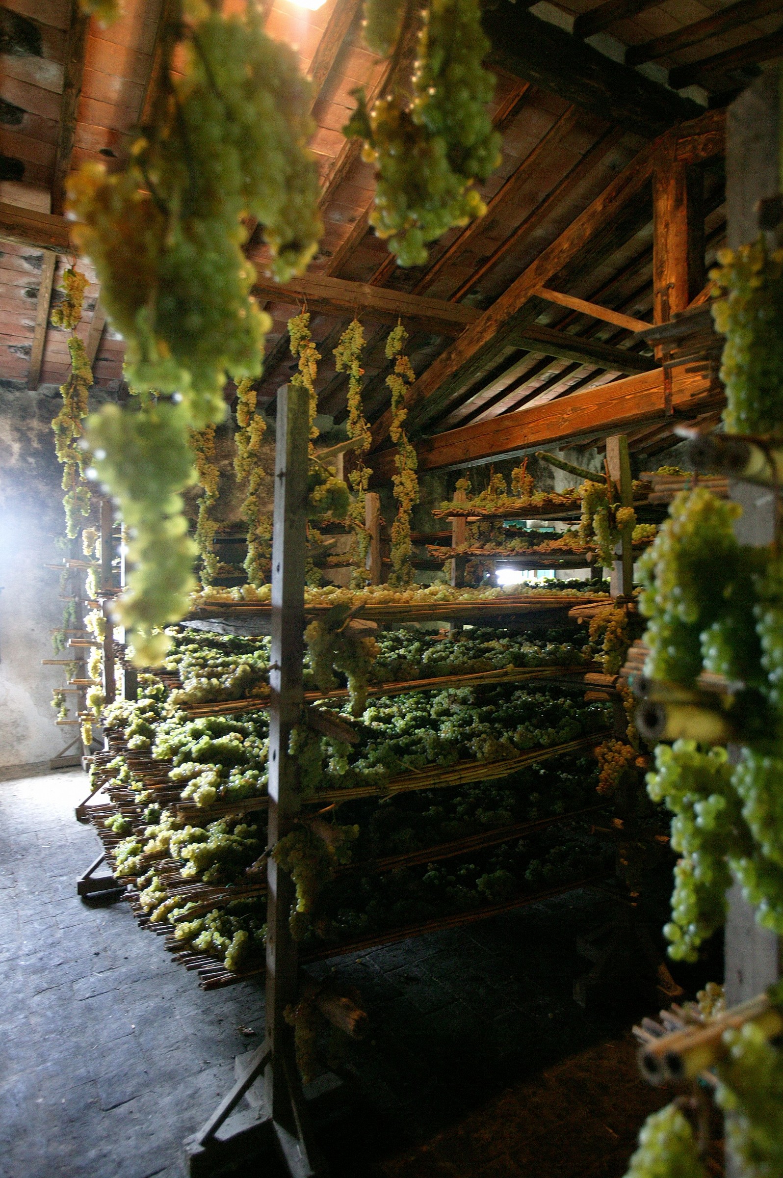 Chianti fiorentino:Vin Santo