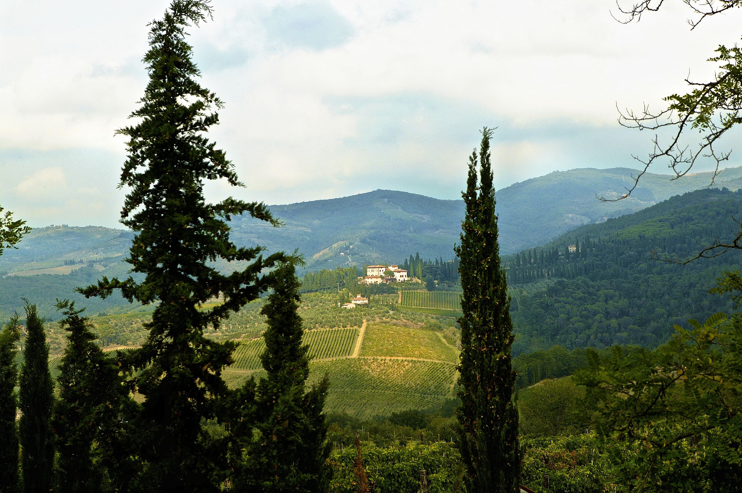 Chianti fiorentino