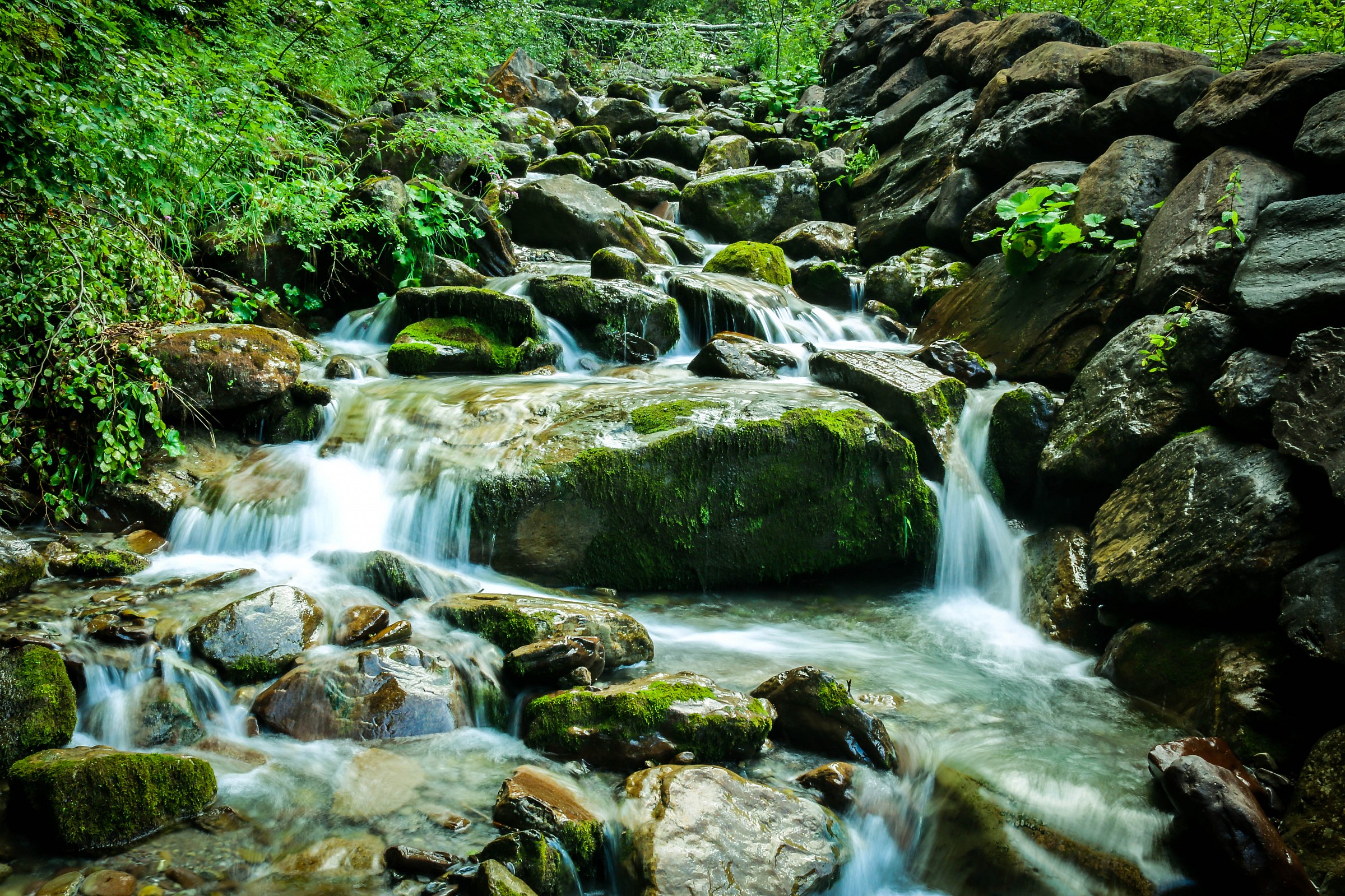 Udine in its forests