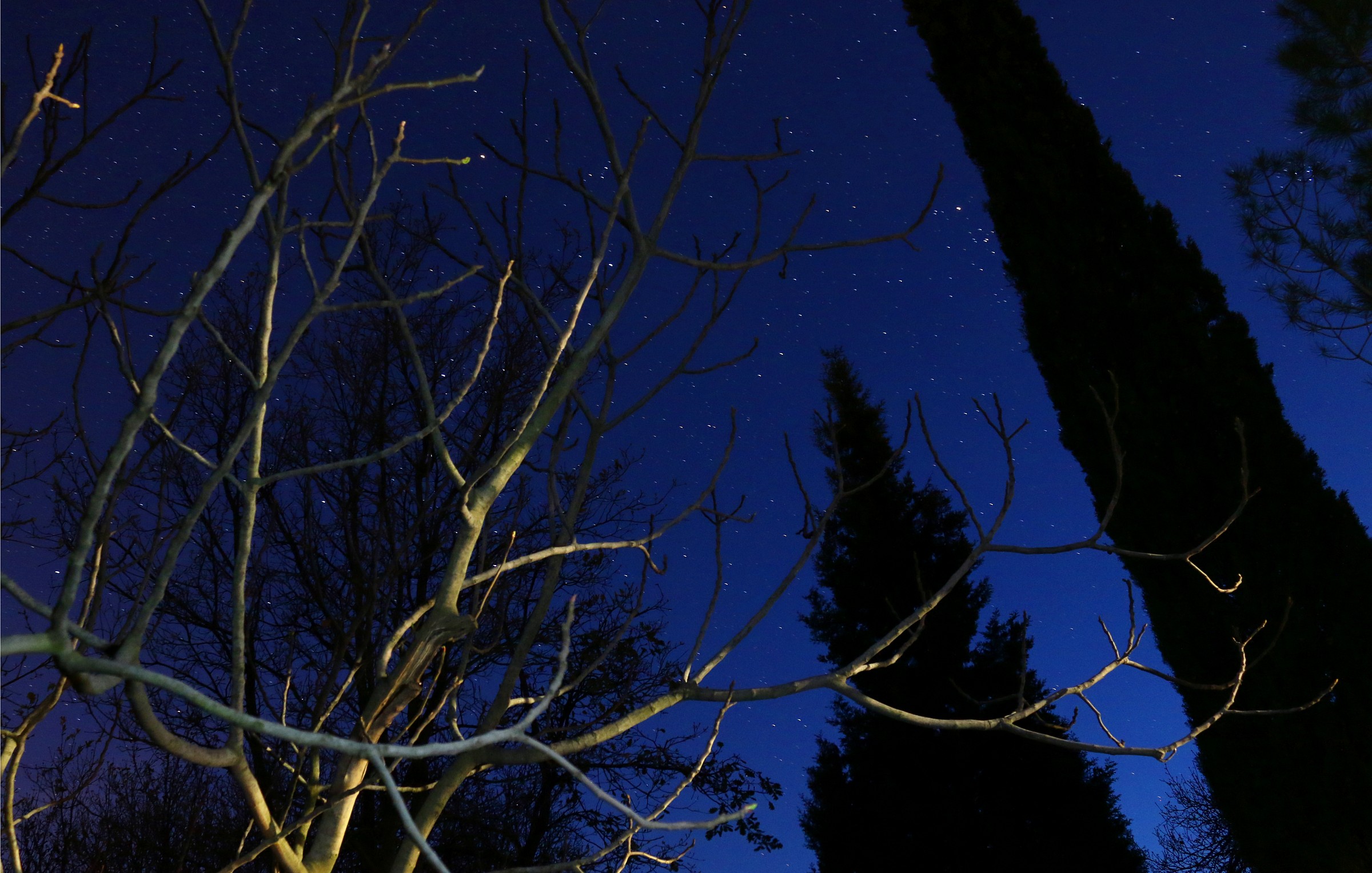 An evening among scouts