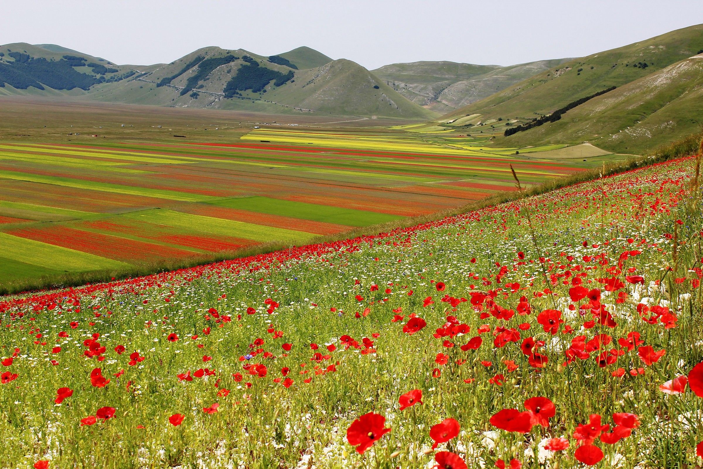 Castelluccio 1