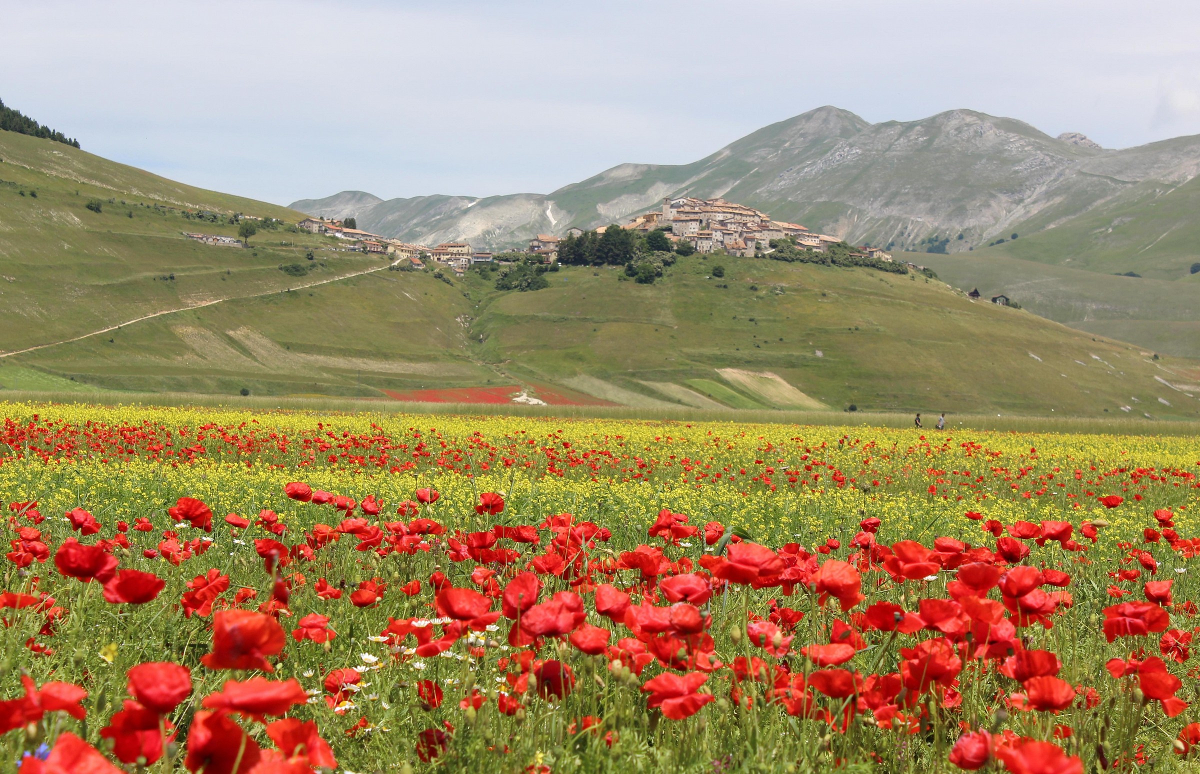 Castelluccio 6
