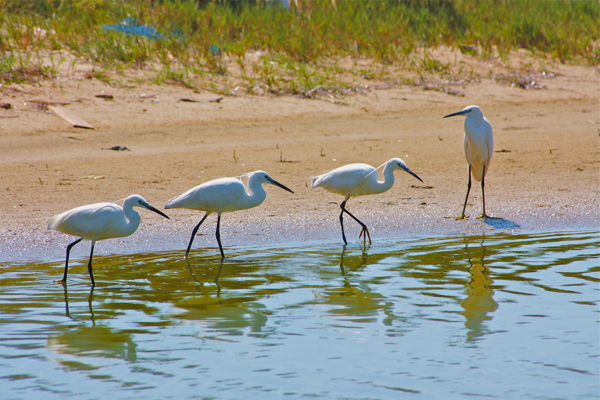 un due un due....avanti marsh!!