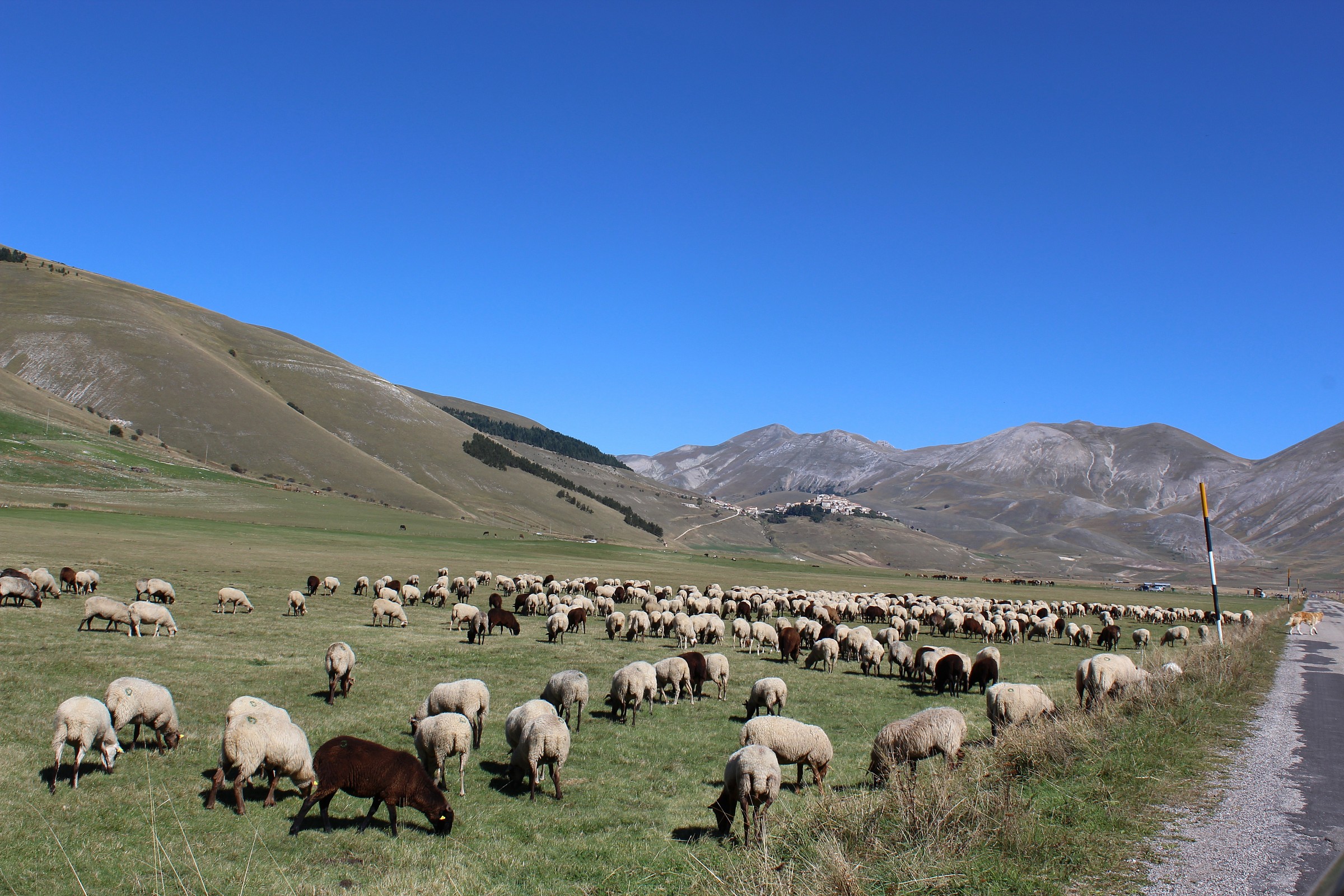 Castelluccio 10