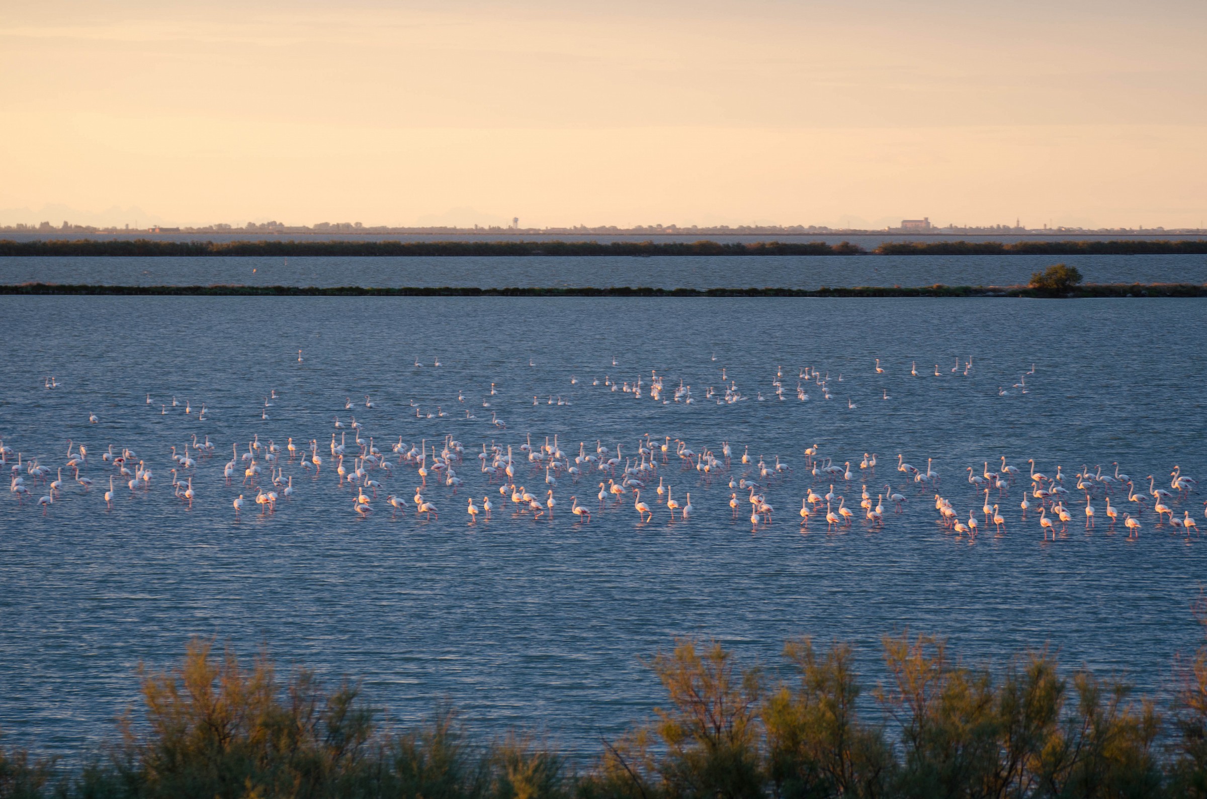 La valle di Comacchio