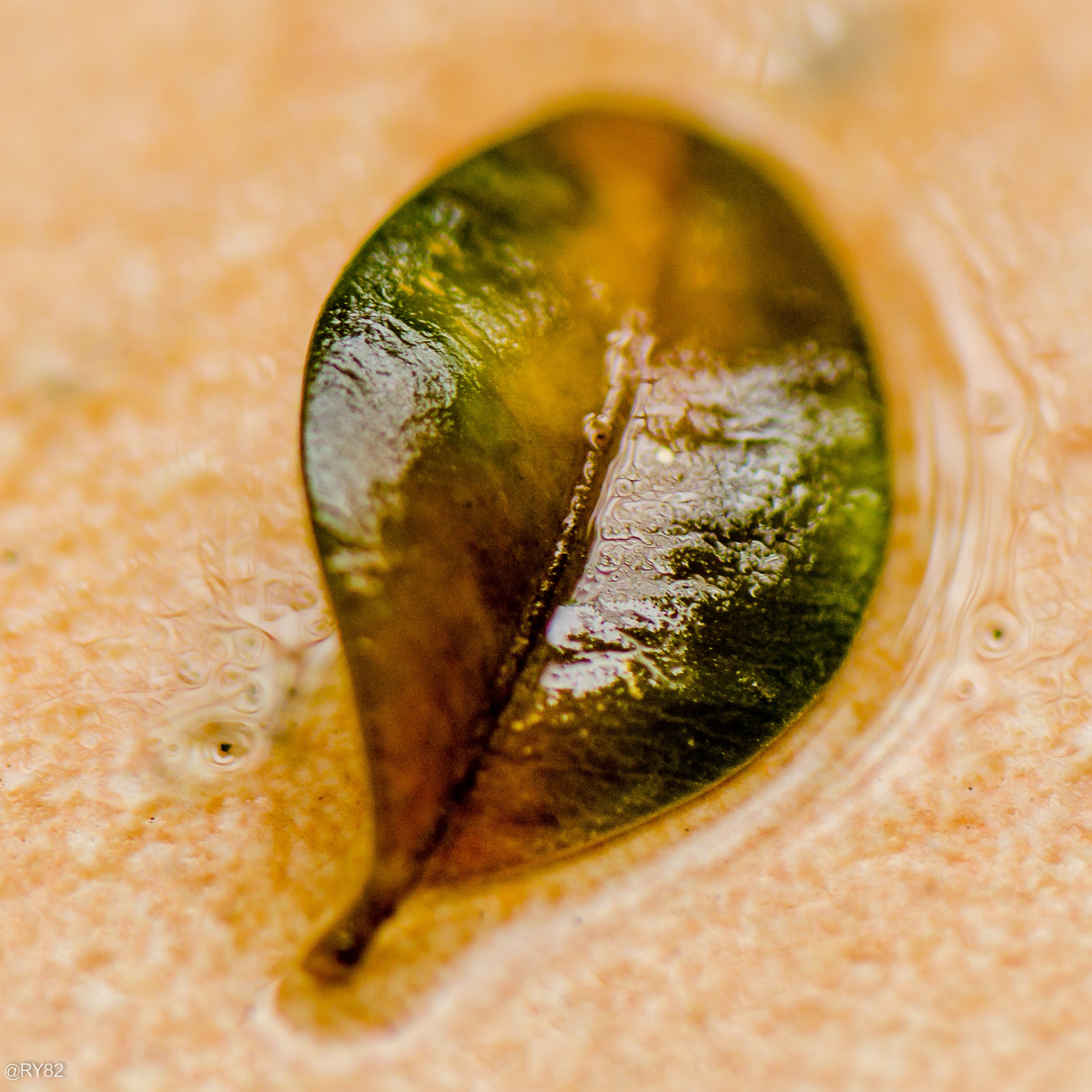 e' arrivato l'autunno...