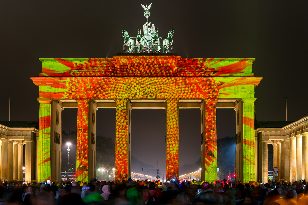 Festival delle luci 2014 - IV