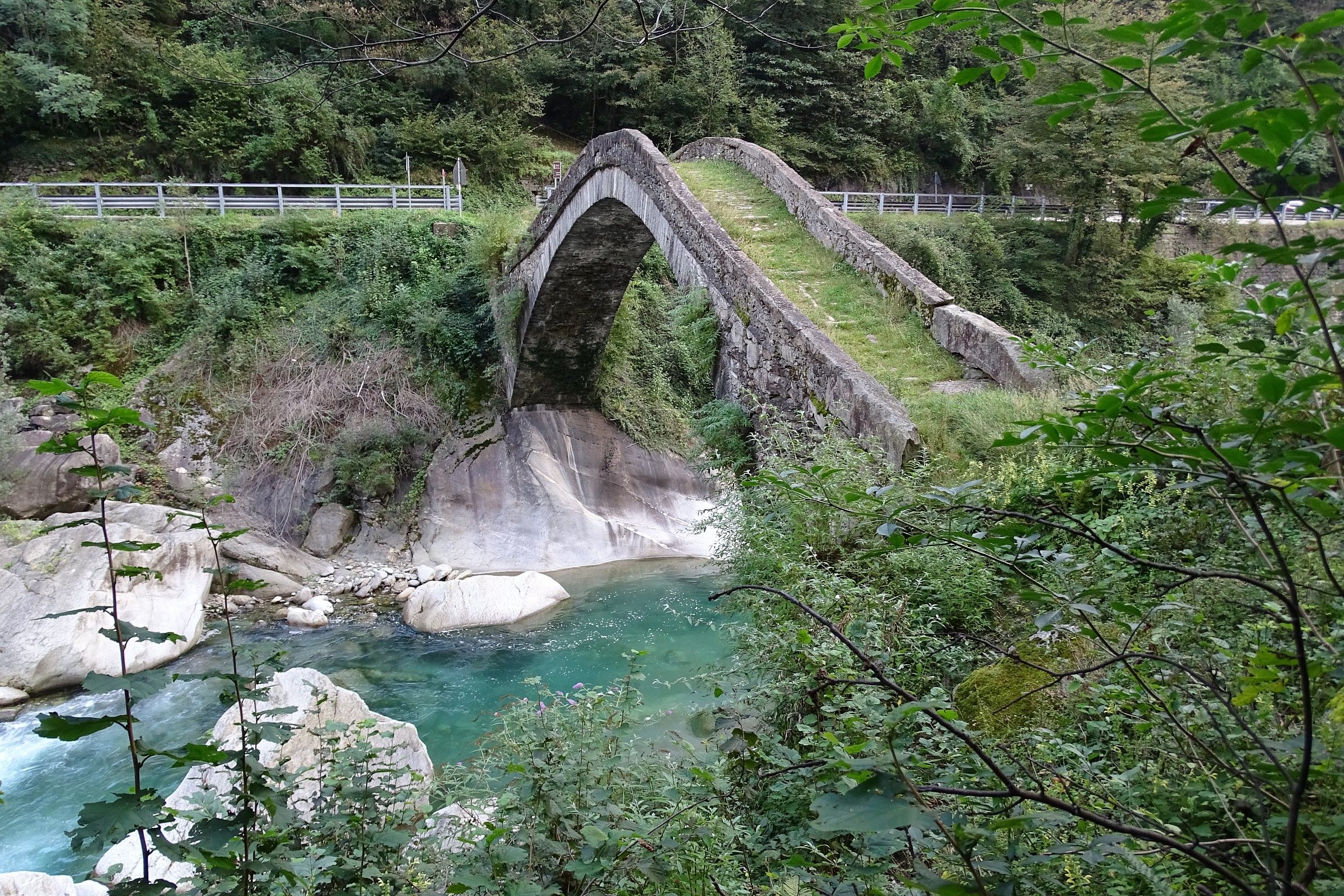 bridge over the river