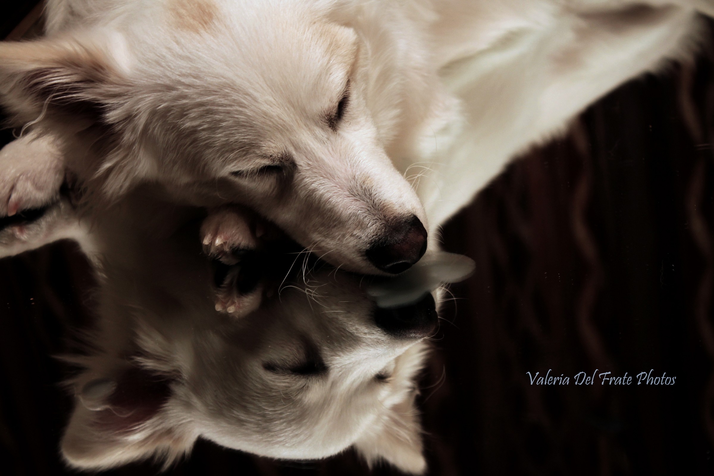 Two, when the duality becomes the subject ..