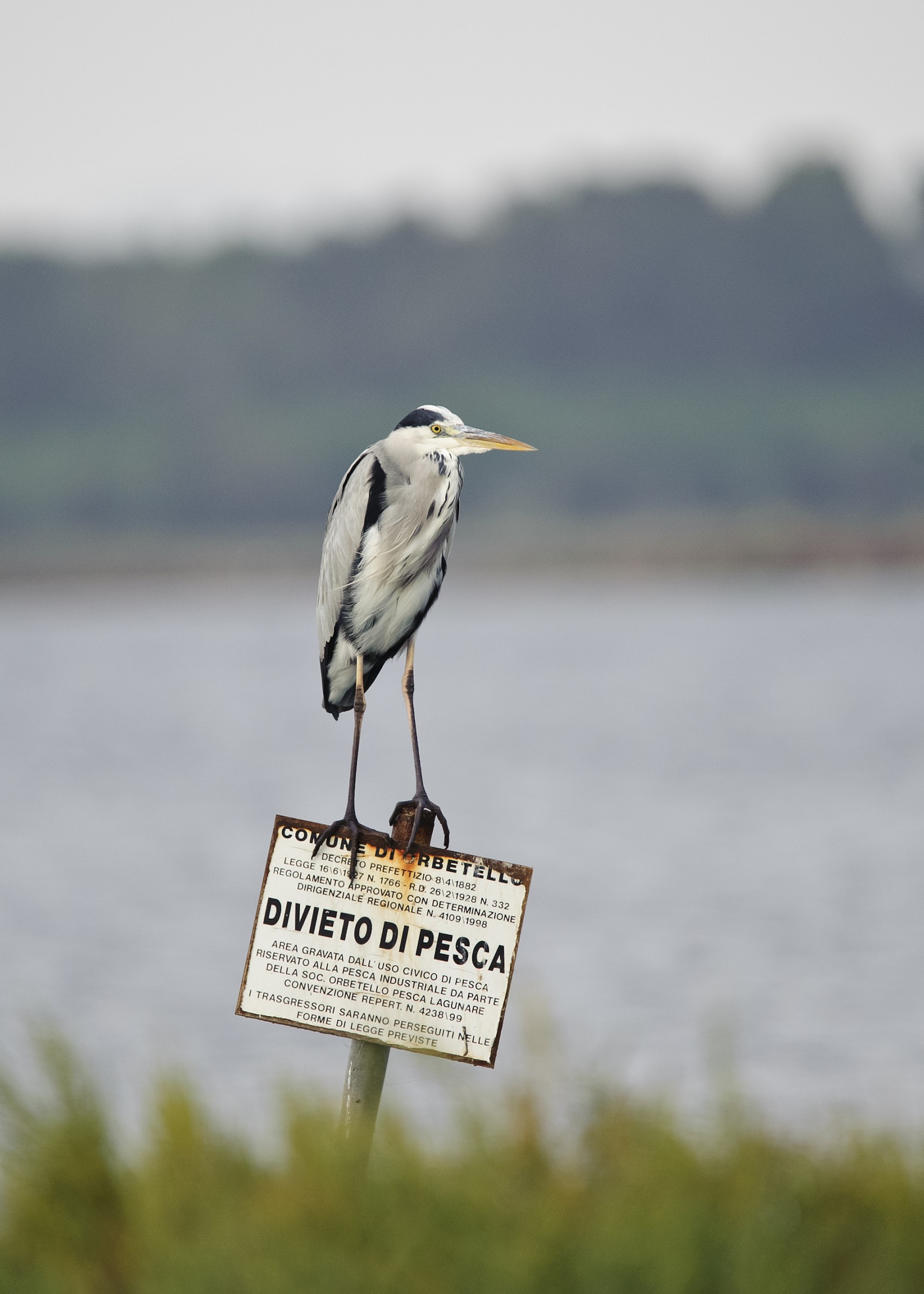divieto di pesca......