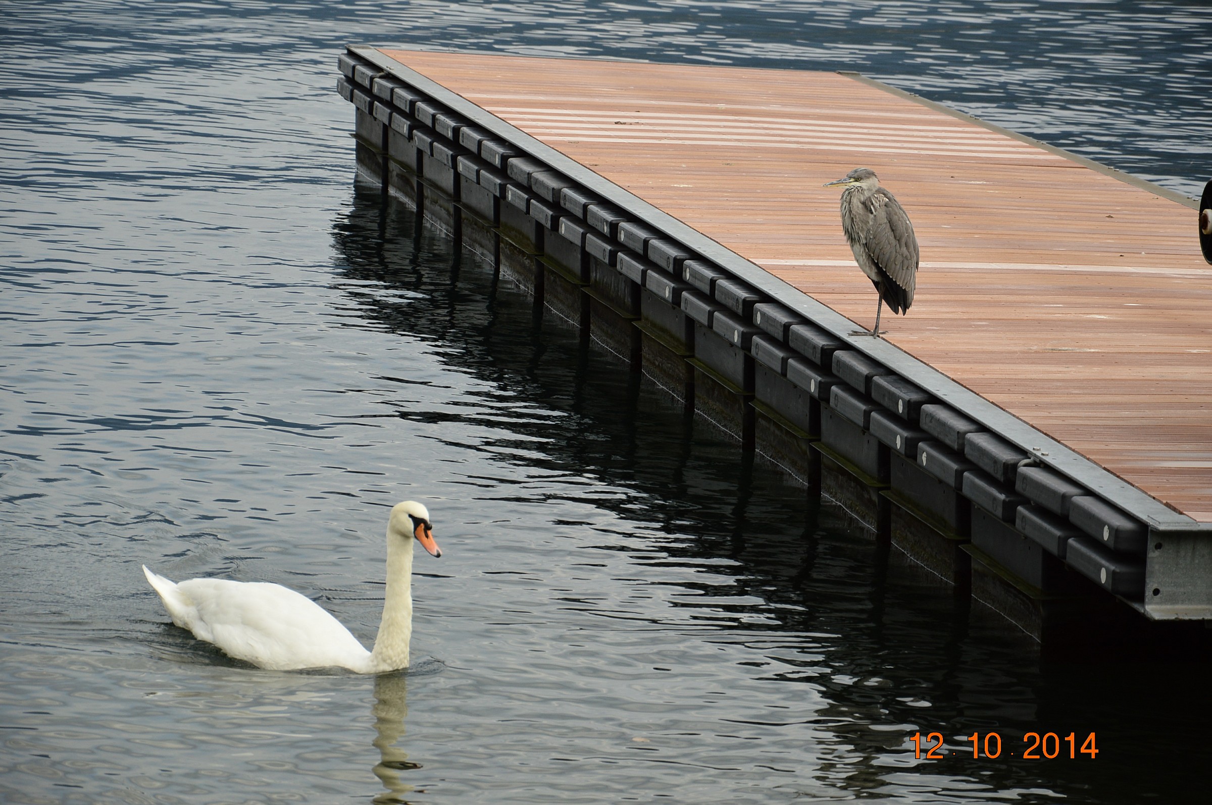 attento che ti curo!!!