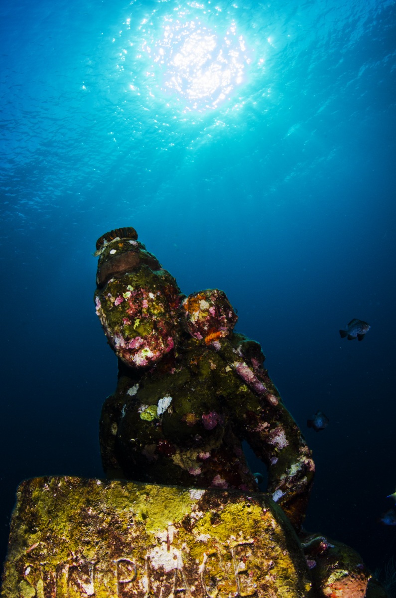 The Garden - Indonesia