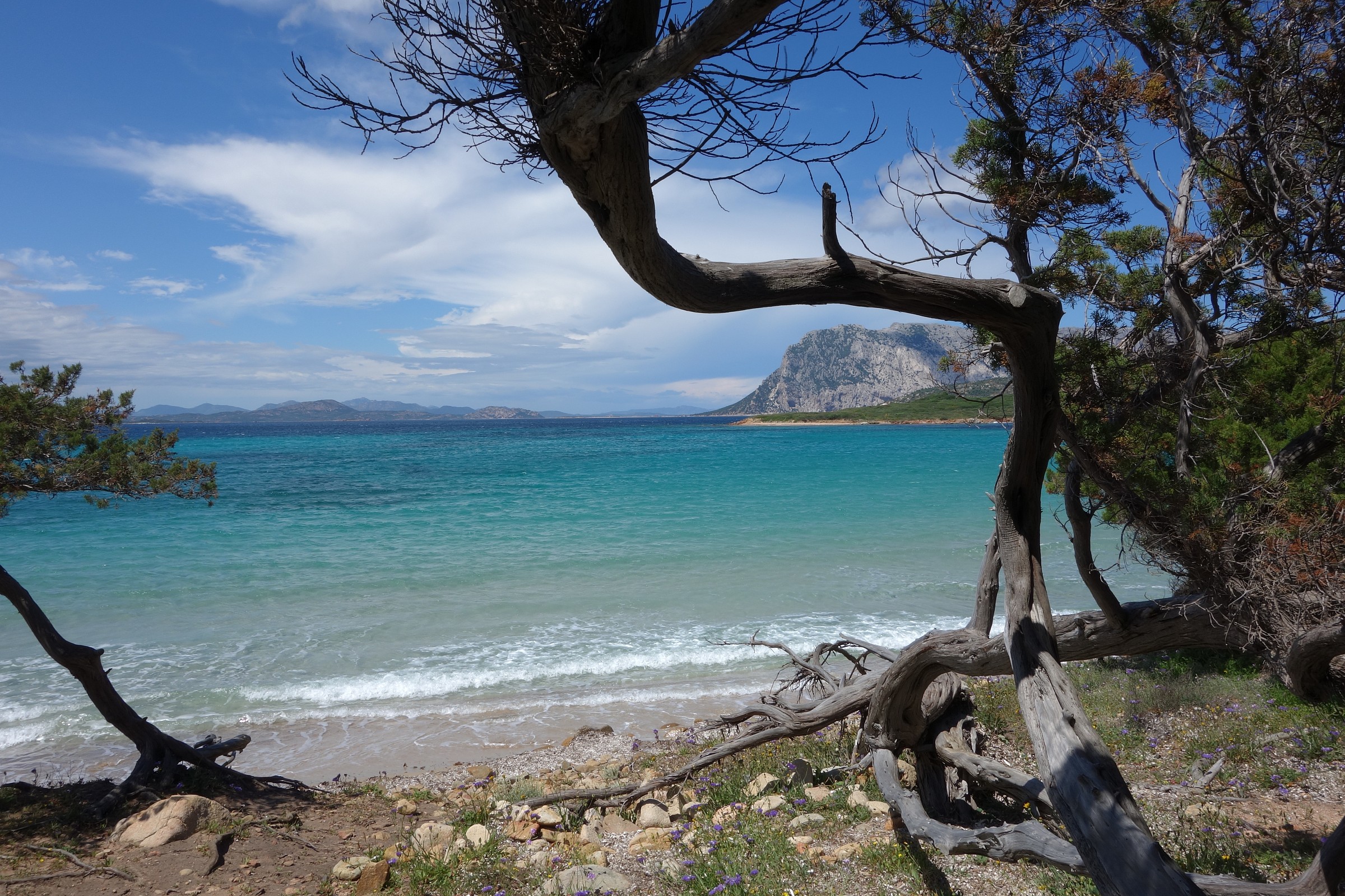 Sardinia, natural setting in Capo Coda Cavallo