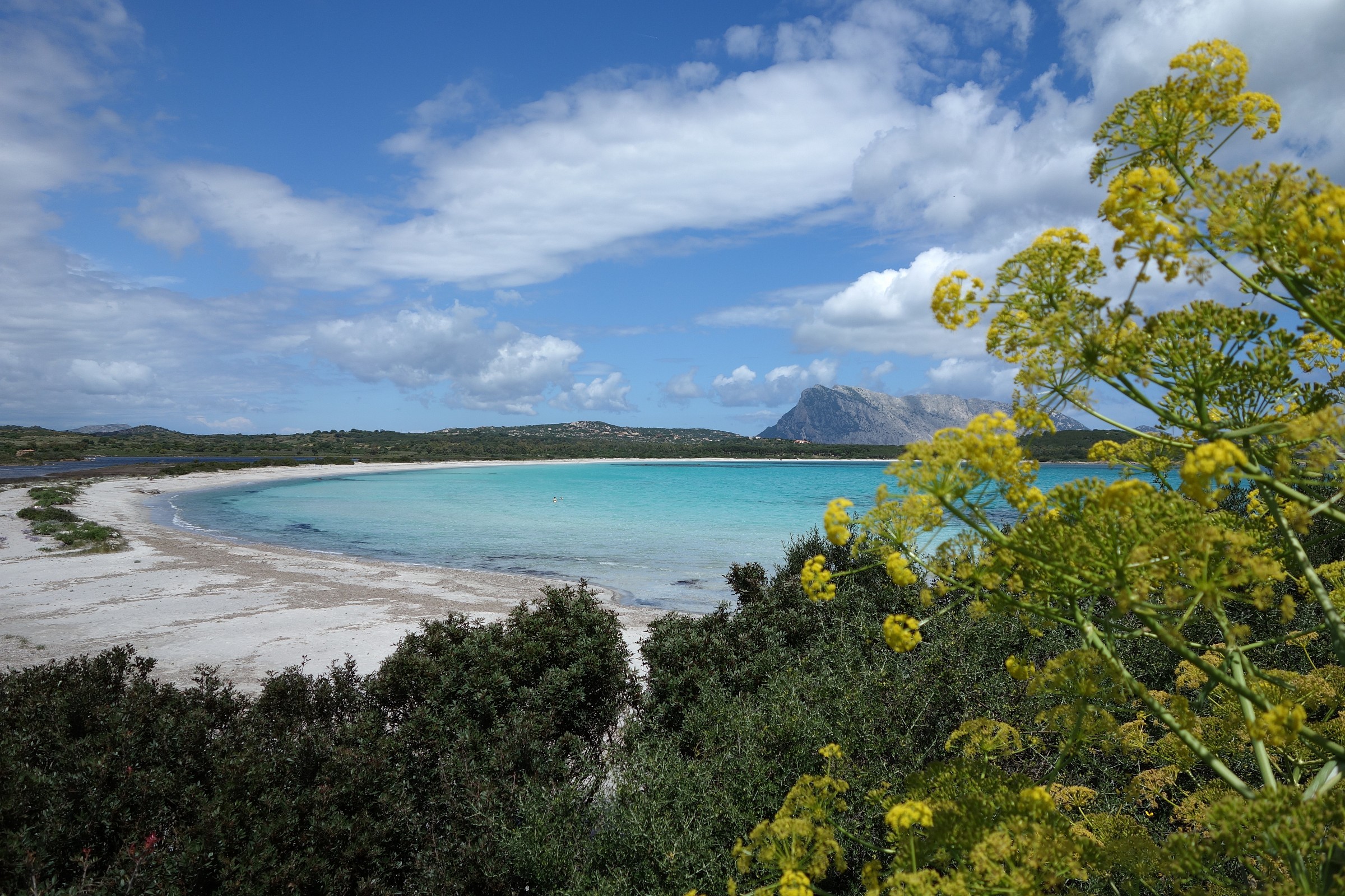 Sardegna, Lu Impostu, primavera