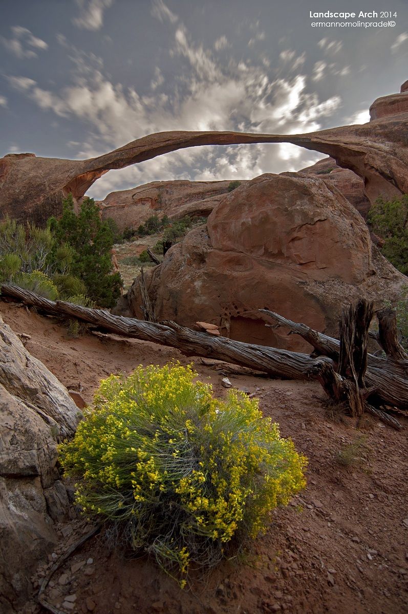 Landscape Arch