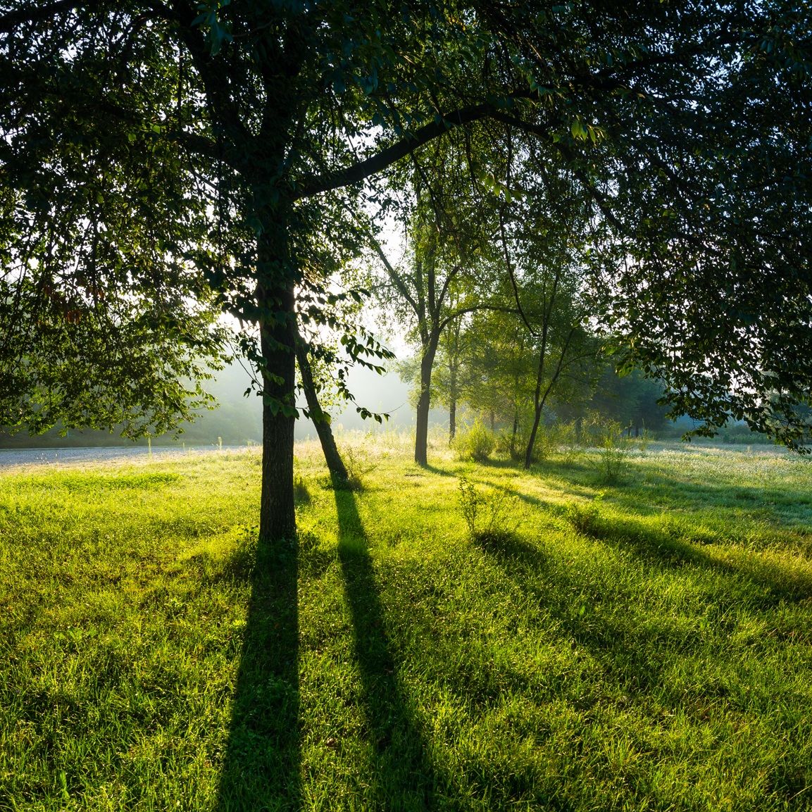 sulle rive del brenta