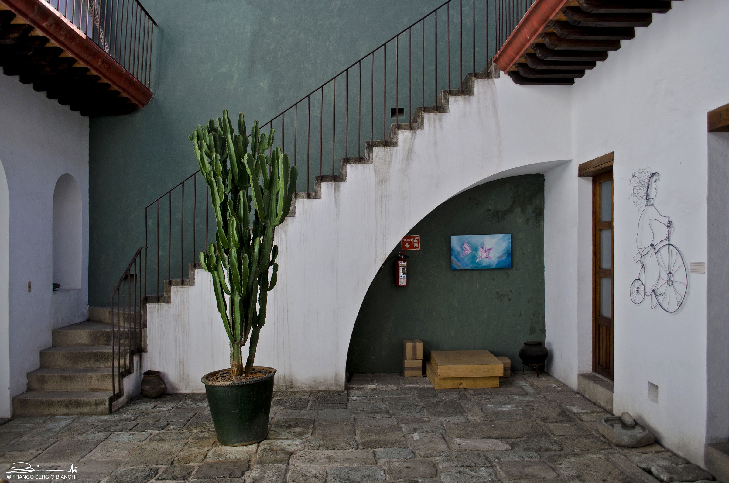 The white scale - San Miguel de Allende Mexico