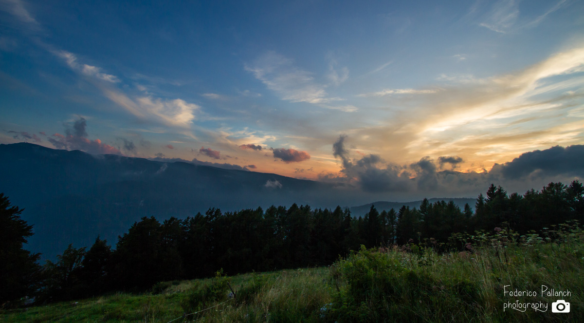 clouds, sunset, trees