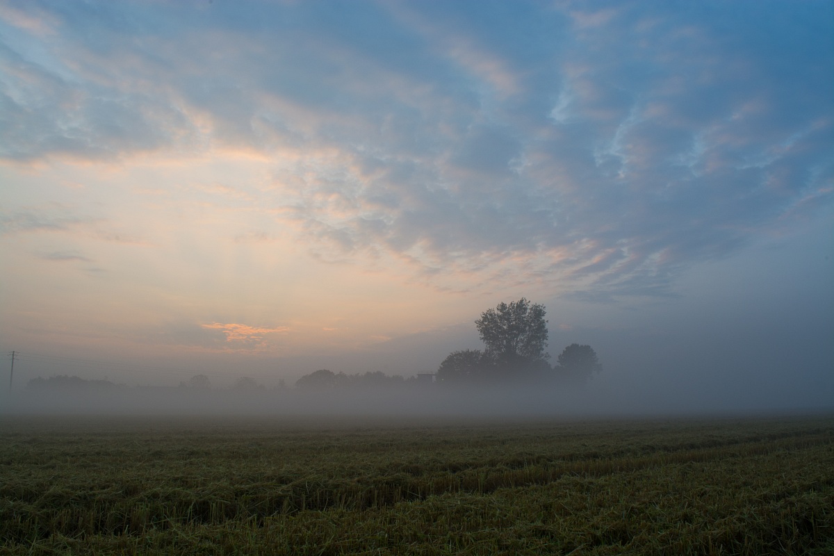 Prime luci sui campi