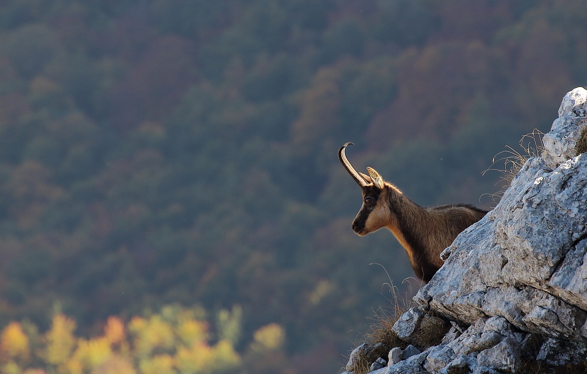 Affacciandosi dal dirupo