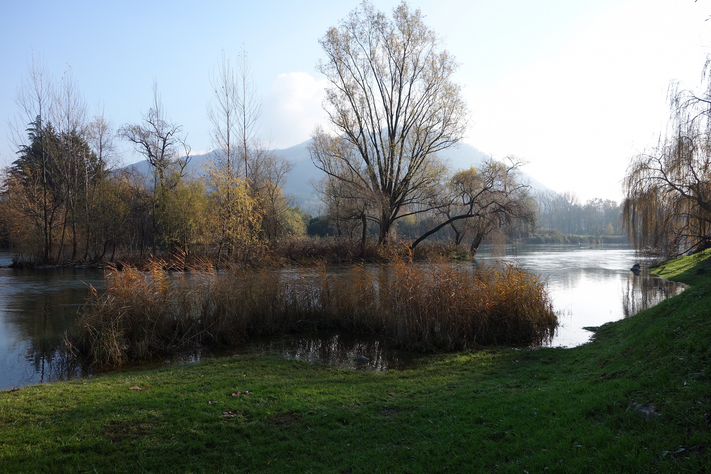 Adda, islet Brivio in autumn