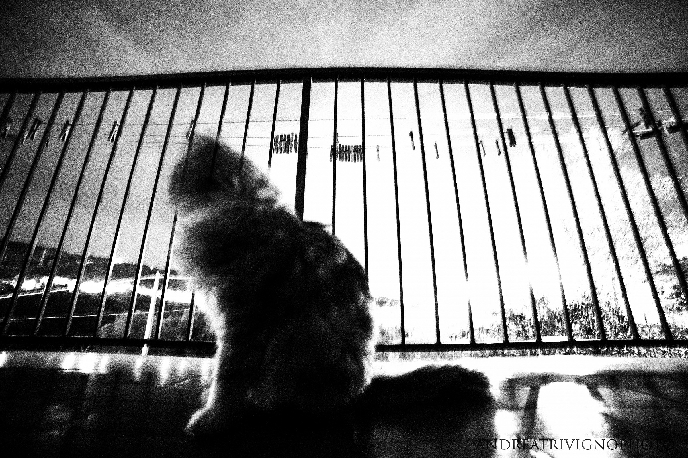 Looking At The Stars