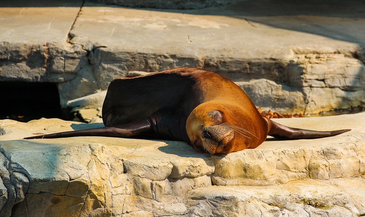 In Praise of Idleness ...