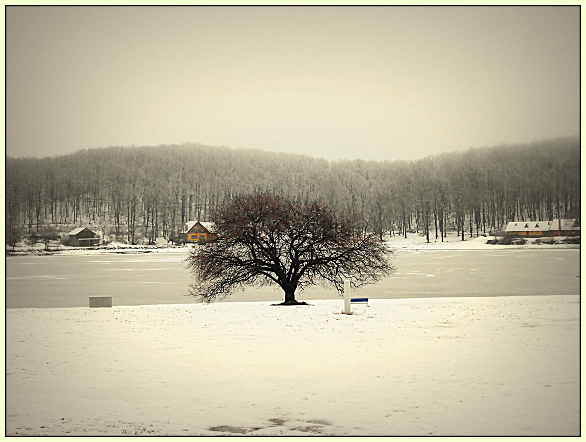 Vinne jazero / svk /