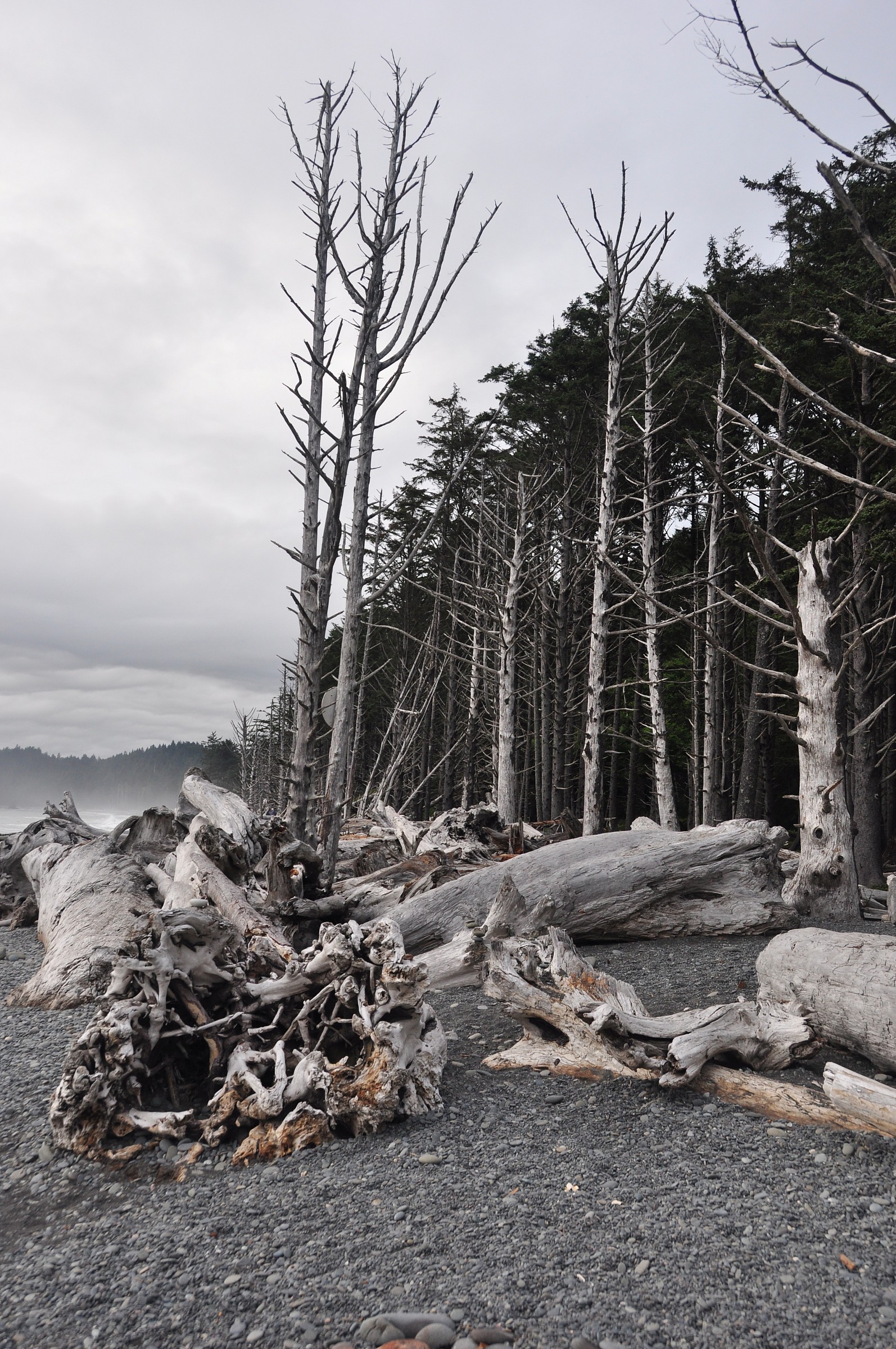 Rialto Beach