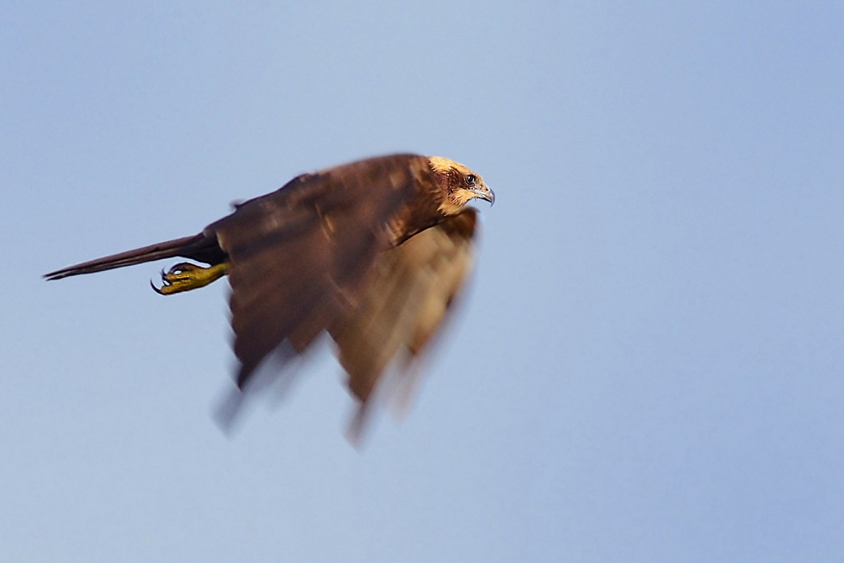 moved to the right place!