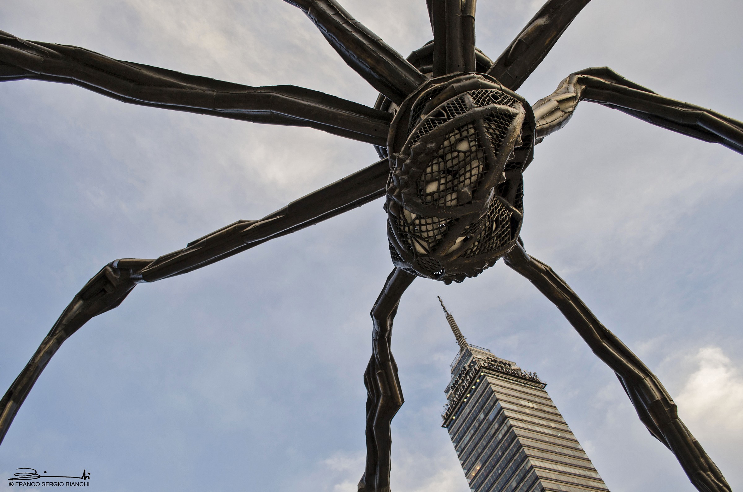 The spider and its prey - Mexico City