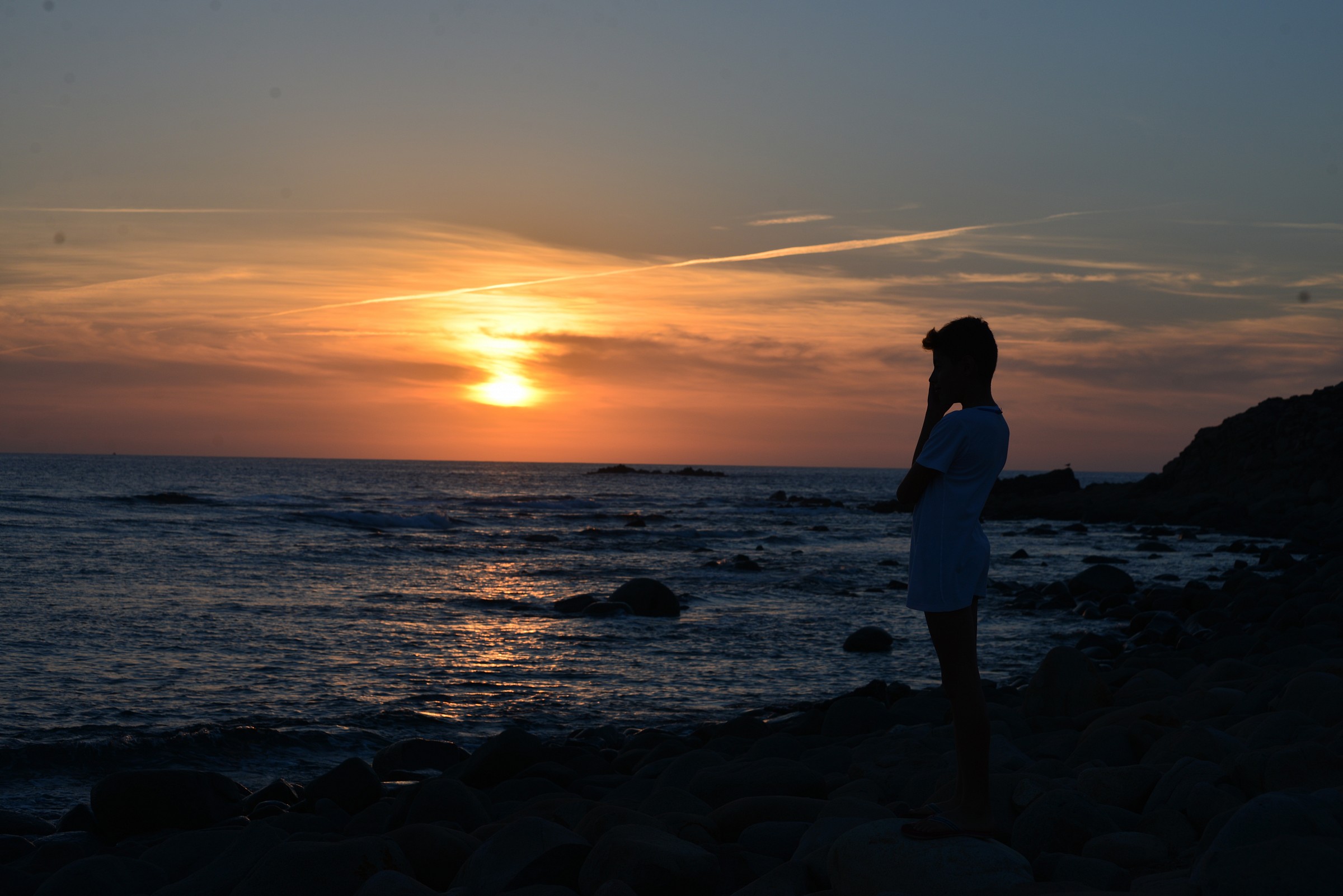 capopecora Arbus October 12 2014