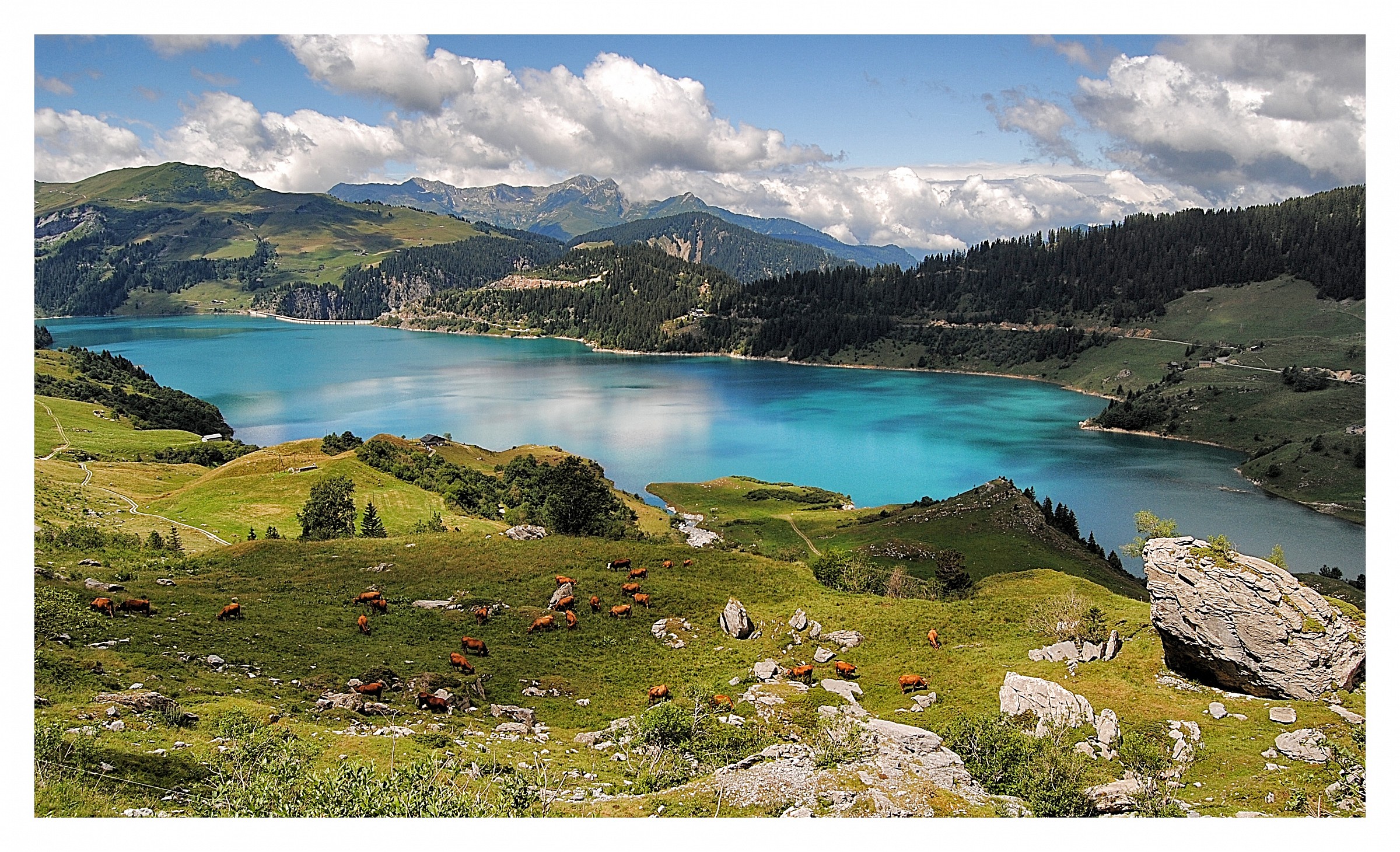 Guerin du Lac, Savoie ..