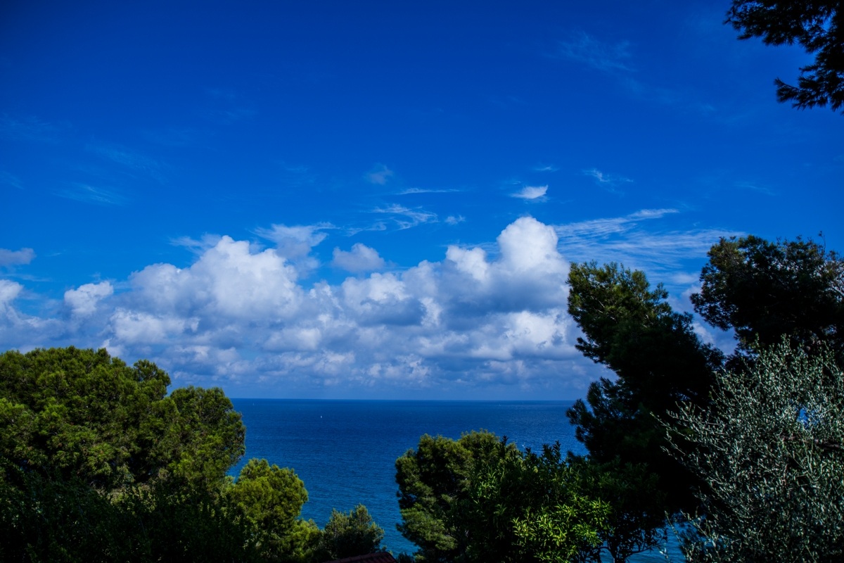 In the Blue Painted Blue