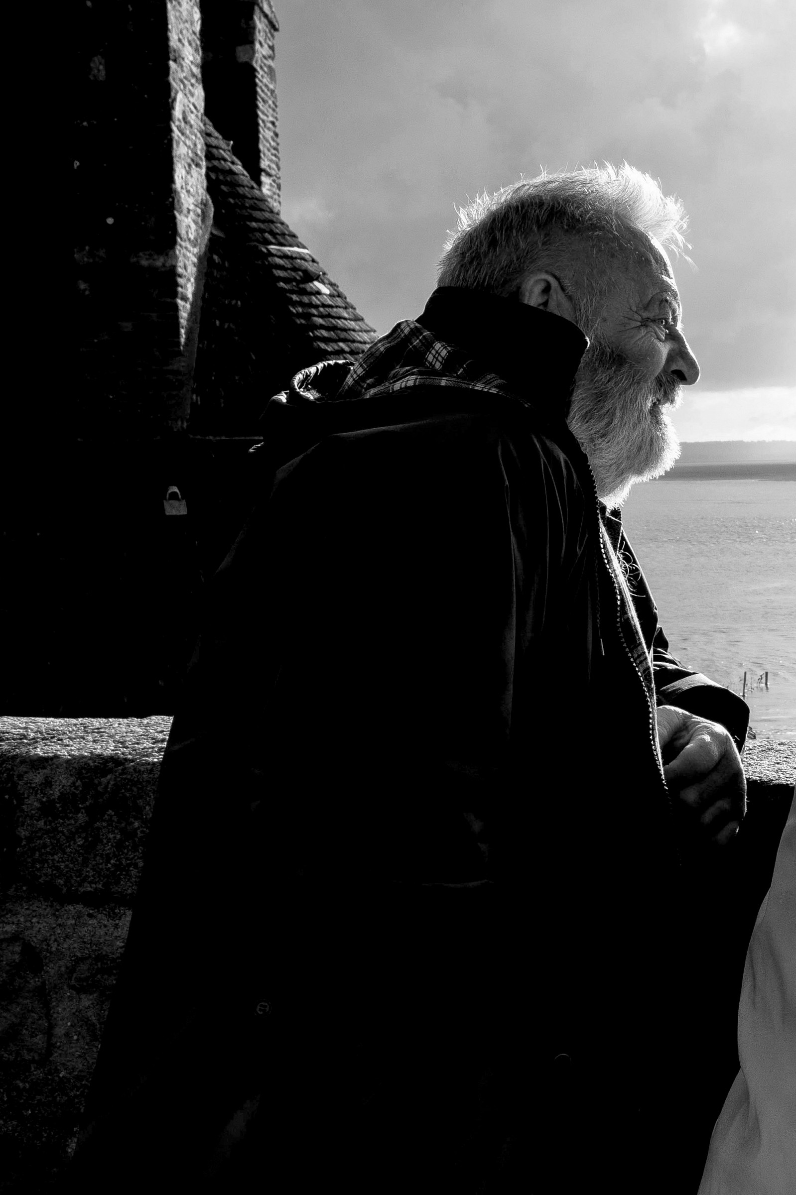 il vecchio e il mare..............