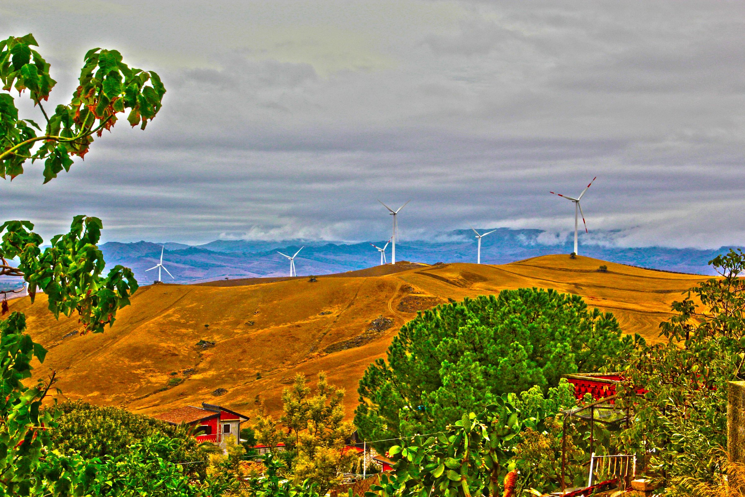 mountain view judica